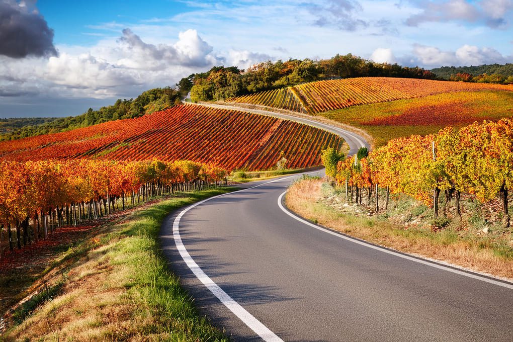 gotrip roadtrip supercars voitures sportives de sport aisne champagne marne visite dégustation oeunologie tourisme route touristique automne vignobles producteur grand cru automobile gt gti balade rallye touristique week-end